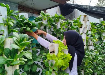 WBP Lapas Kalianda Belajar Mandiri Lewat Berkebun Vertikultur