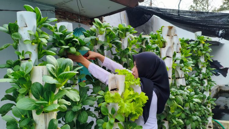 WBP Lapas Kalianda Belajar Mandiri Lewat Berkebun Vertikultur
