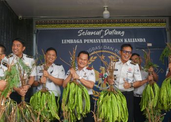 Budidaya WBP Lapas Kalianda Berbuah Hasil, Pete dan Pare Siap Dipanen