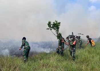 Karhutla Way Kambas Jadi Perhatian, Komite Siapkan 10 Titik Sumber Air dan Teknologi Pemantauan
