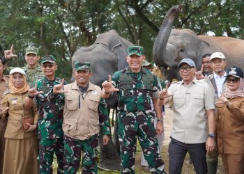 Titik Api Sempat Muncul, Gajah Way Kambas Dipastikan Sehat dan Tidak Terdampak Kebakaran
