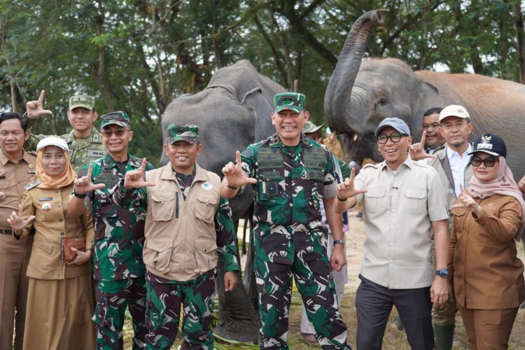Titik Api Sempat Muncul, Gajah Way Kambas Dipastikan Sehat dan Tidak Terdampak Kebakaran
