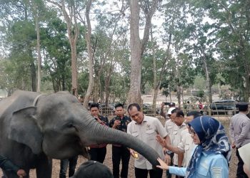 Bukan Sekadar Padamkan Api, Komisi IV DPR RI Minta Karhutla TNWK Ditangani dari Hulu