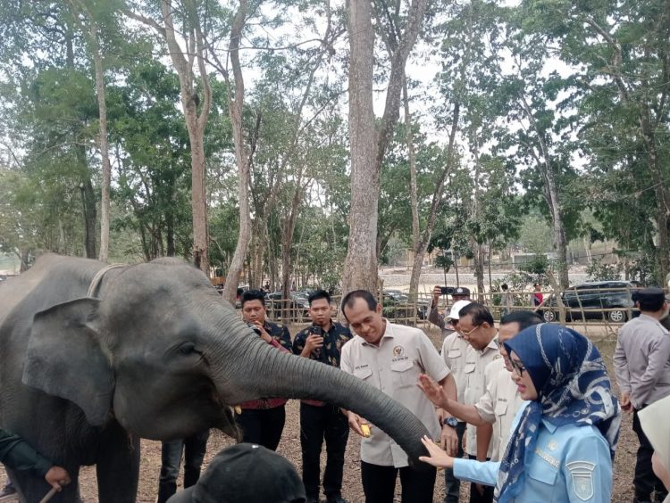 Bukan Sekadar Padamkan Api, Komisi IV DPR RI Minta Karhutla TNWK Ditangani dari Hulu
