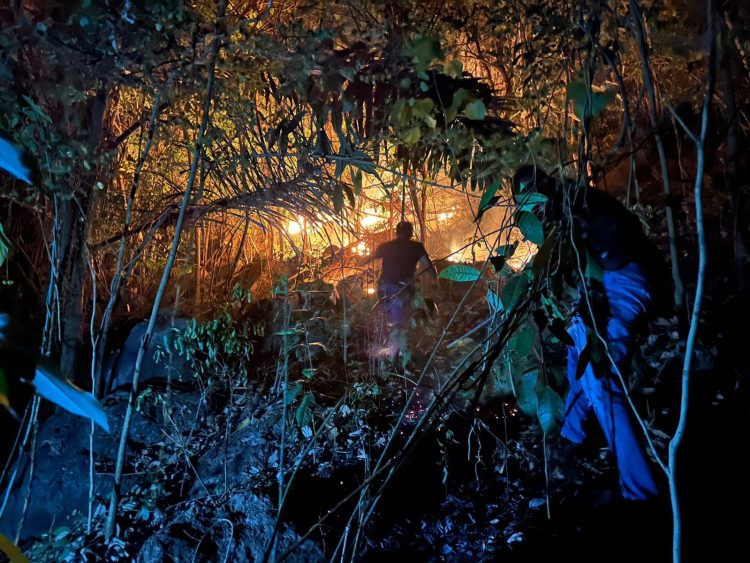 Kebakaran Lahan Parerejo Mengamuk, Petugas Berjibaku di Lereng 75 Derajat