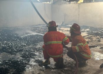 Pabrik Palet Kayu di Pringsewu Jadi Abu, 25 Tangki Air Dikerahkan