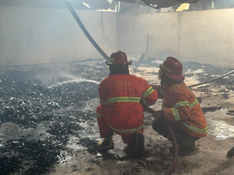 Pabrik Palet Kayu di Pringsewu Jadi Abu, 25 Tangki Air Dikerahkan
