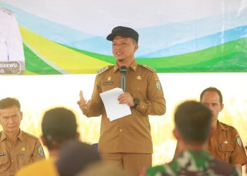 Panen Raya Corporate Farming, Bupati Pringsewu: Aset Pekon Jangan Sampai Tak Dikelola Maksimal