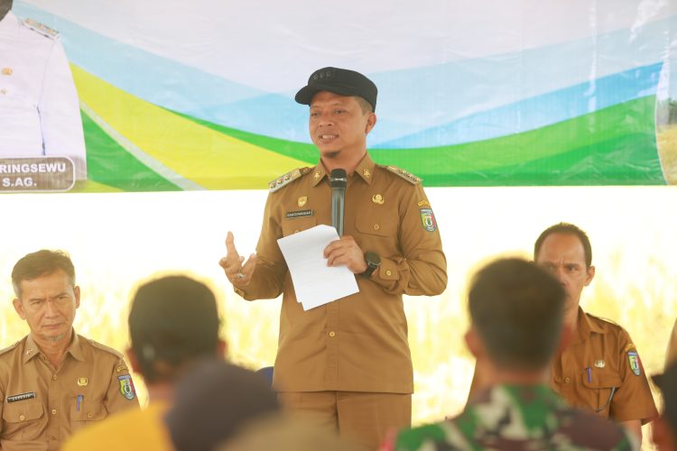Panen Raya Corporate Farming, Bupati Pringsewu: Aset Pekon Jangan Sampai Tak Dikelola Maksimal