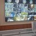 TN Way Kambas Pasang CCTV 360 Derajat, Pergerakan Gajah Dipantau Berbasis AI