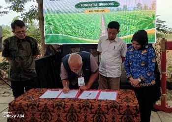 KDKMP Singkong Pringsewu Dapat Fasilitasi Jaringan Bisnis dari Kementerian Koperasi