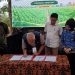KDKMP Singkong Pringsewu Dapat Fasilitasi Jaringan Bisnis dari Kementerian Koperasi