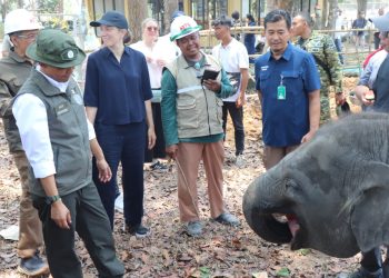 125 Ribu Hektare Kawasan TN Way Kambas Diperkuat untuk Lindungi Gajah