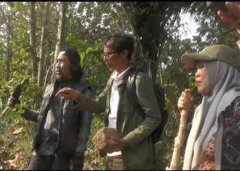Keratuan Balaw dan Misteri Tanah Hitam, Ada Kisah Perang Perebutan Gadis Ratu Lengkara