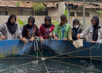 Lapas Kalianda Perkuat Pembinaan WBP Melalui Kegiatan Budidaya Perikanan
