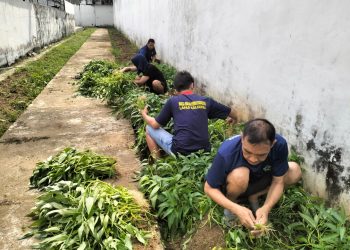 Bukan Sekadar Panen, Lapas Kalianda Bentuk Keterampilan Produktif WBP