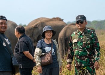 Gajah Way Kambas Menuju Kehidupan Bebas, Mahout Dilatih Tim Konservasi Thailand
